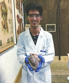 Heart in hand, senior Cole Bateman pursues his interest in the medical field at weekly cadaver labs. 