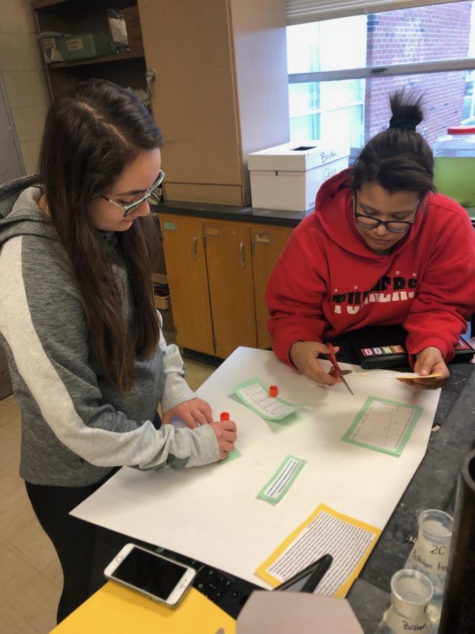 Environmental Science students, Abriana Ruiz and Teagan Jordan, gather the results of their study on the effects of vaping into a poster report.