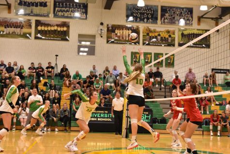 Volleyball: Season in Review