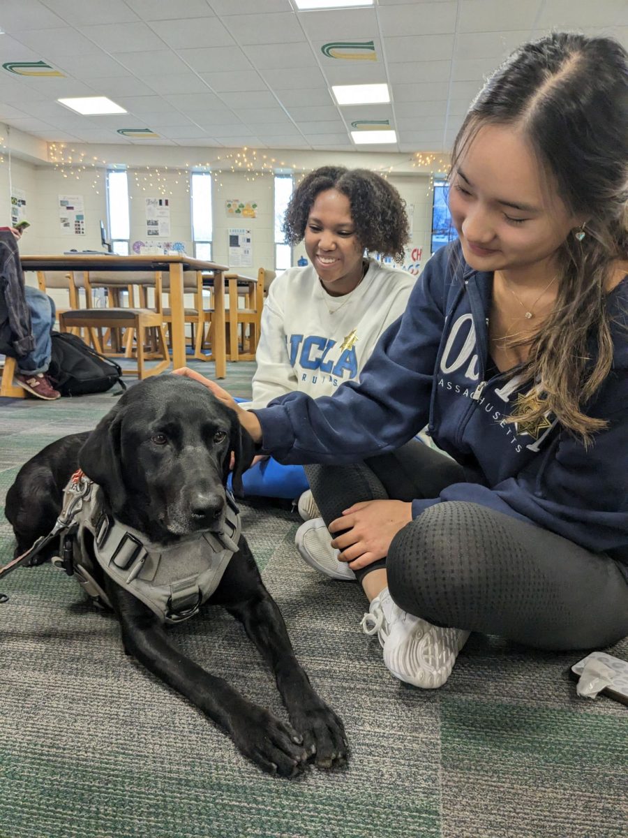 Mental Health Matters and Animal Welfare Club work together to educate students about therapy dogs.