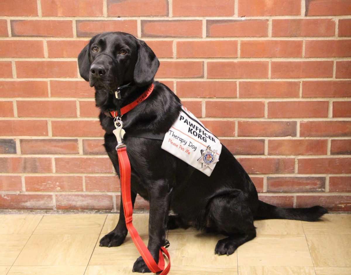 Korg is such a loving dog who visits schools, makes valentines, and helps those in crisis. His joy is contagious! For his picture, he greeted me with a wagging tail. His handler, Officer Ridlen, and he have a beautiful connection that shows how much they care about helping our community